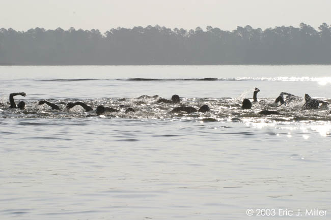 2003-Indian-Creek-Triathlon-0026.jpg